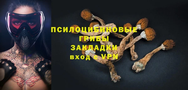 Альфа ПВП Алзамай