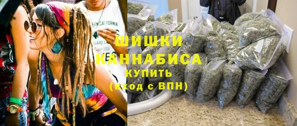 Альфа ПВП Алзамай